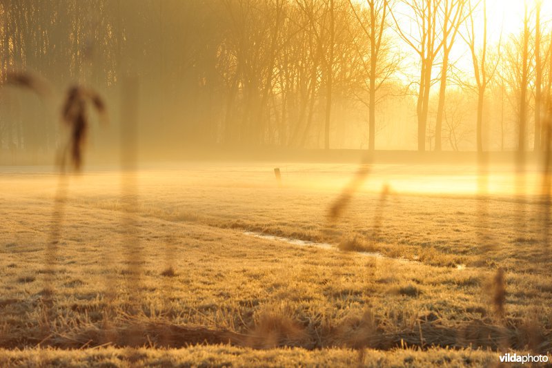 Weijmeerbroek