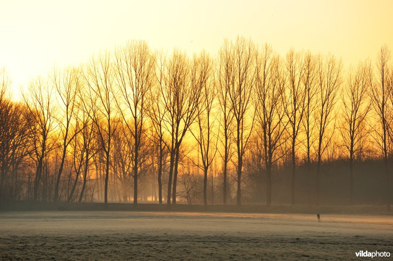 Weijmeerbroek