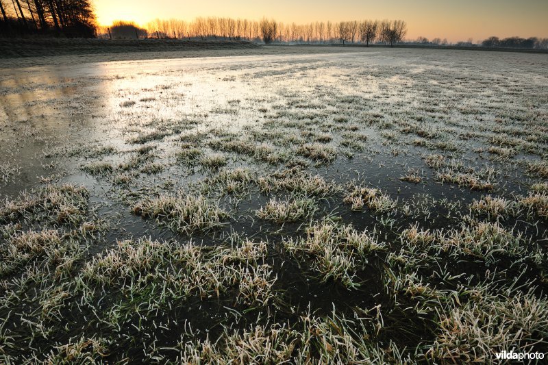 Weijmeerbroek