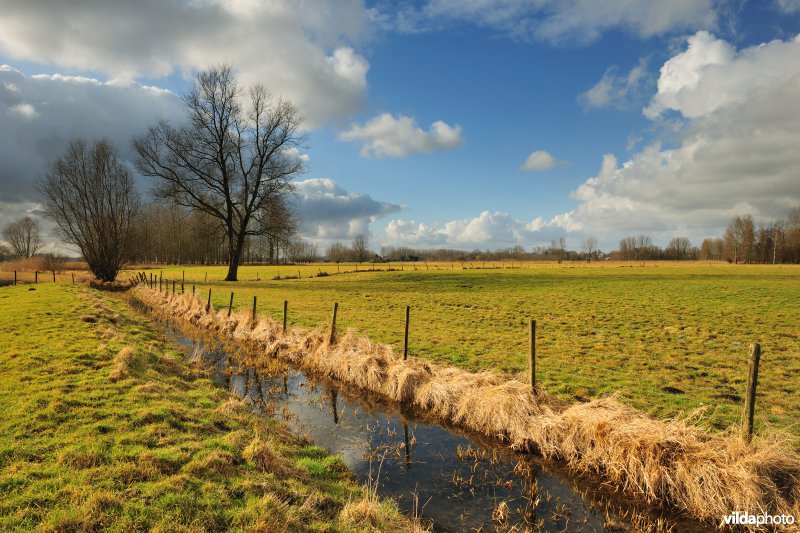 Vingelinkbeekvallei in de Kalkense meersen