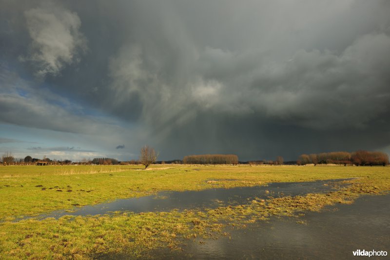 Vingelinkbeekvallei in de Kalkense meersen