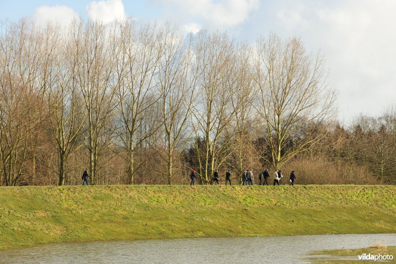 Wijmeers