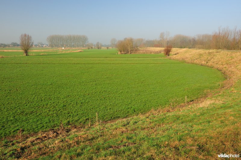 Paardeweide