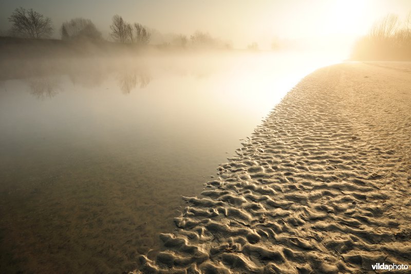 Schor bij de Bergenmeersen