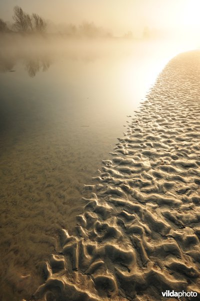 Schor bij de Bergenmeersen