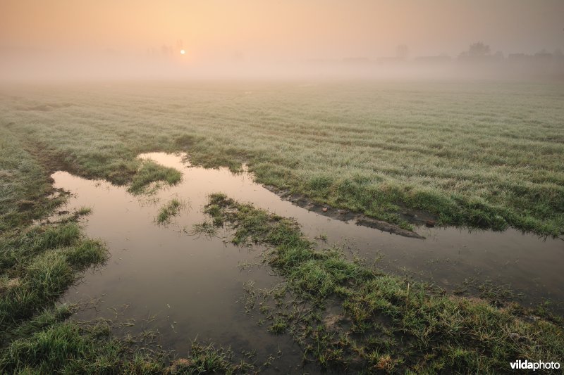 Bergenmeersen