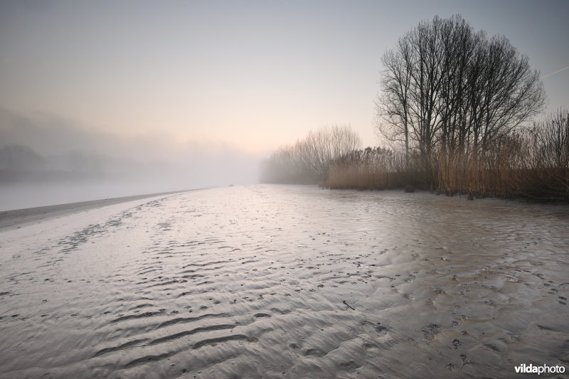 Schor bij de Bergenmeersen