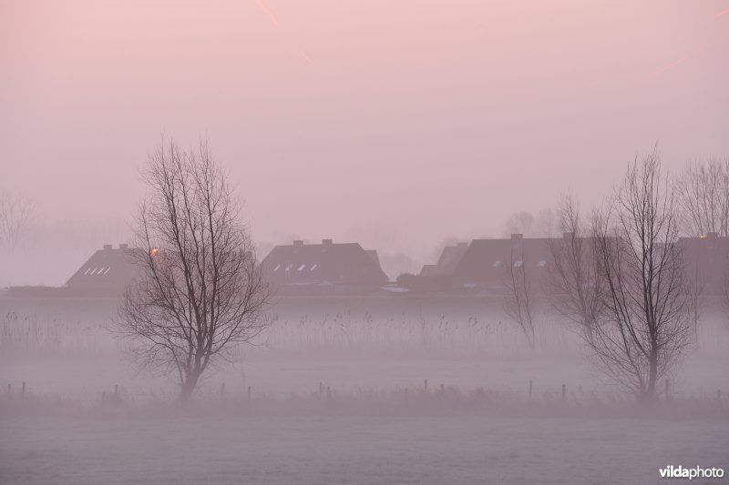 Bergenmeersen