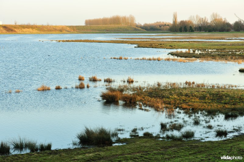 Natuurreservaat Drijdijck