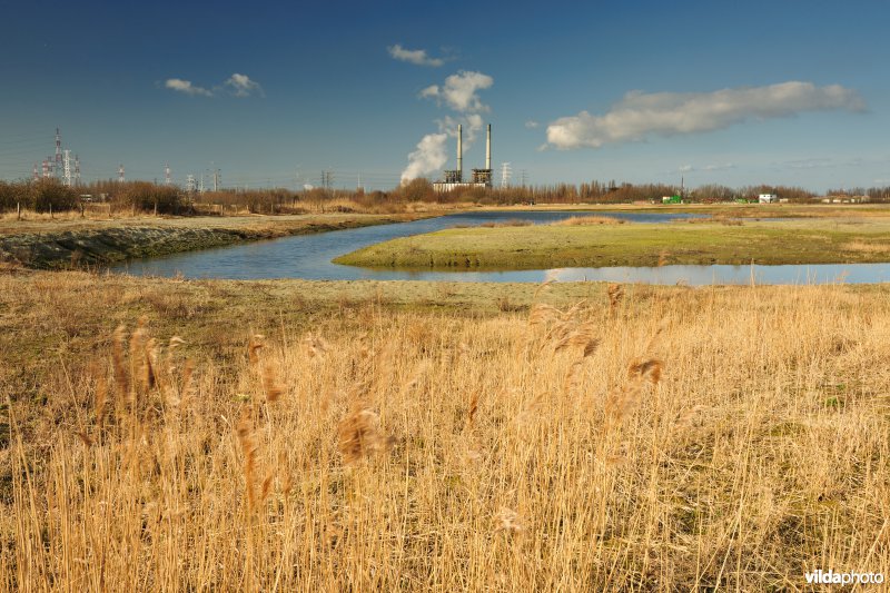 Vlakte van Zwijndrecht