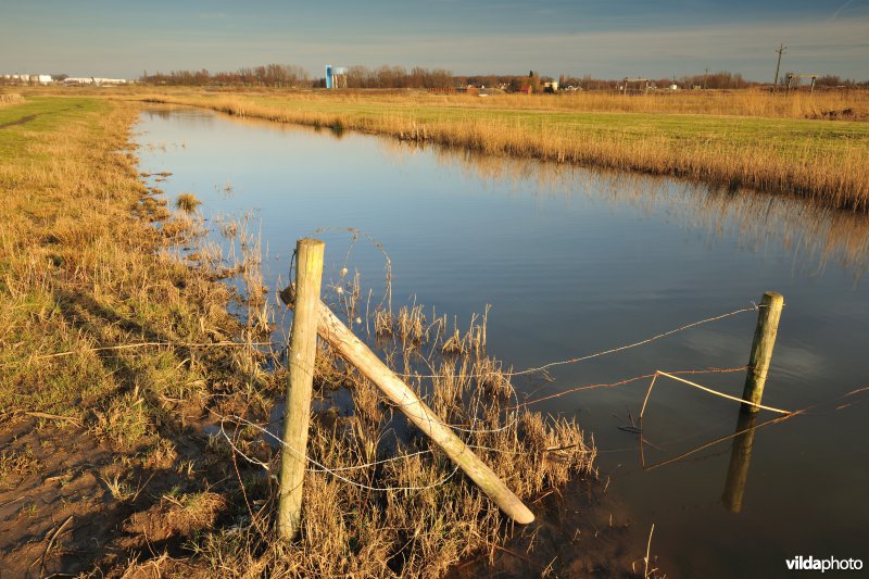 KBR polder