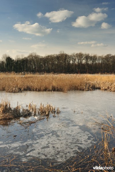 Schiphoekpolder