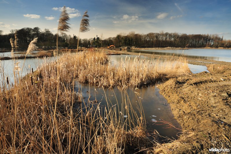 Schiphoekpolder