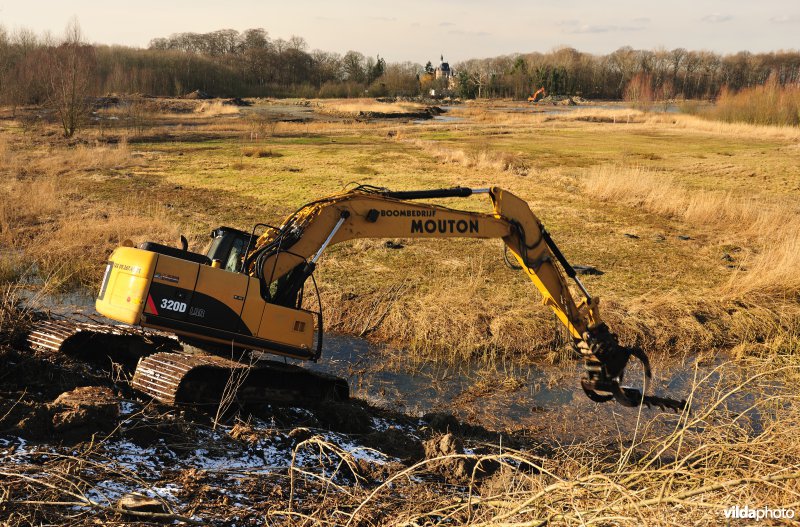 Schiphoekpolder