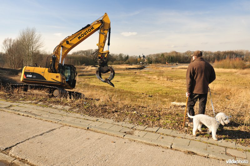 Schiphoekpolder