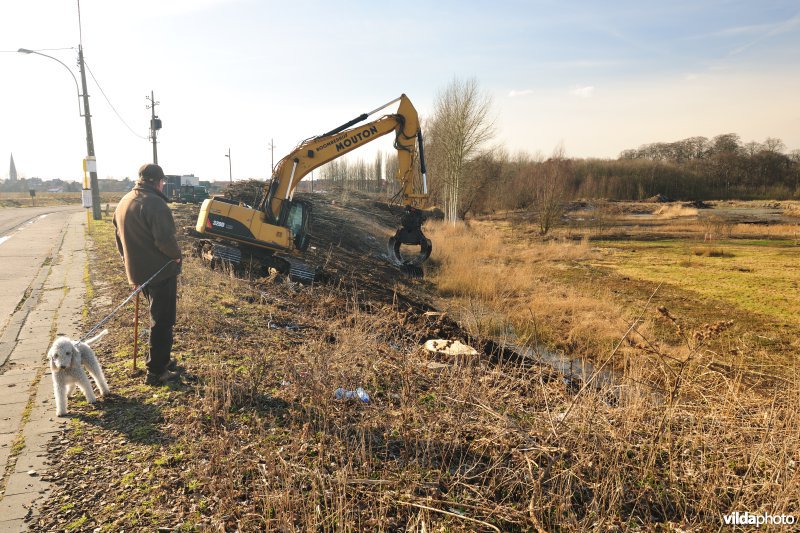 Schiphoekpolder