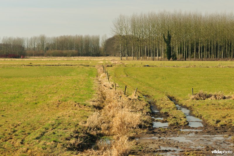 Groot Broek