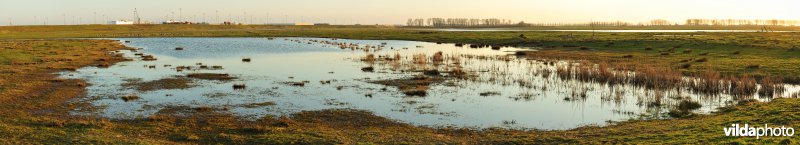 Putten West