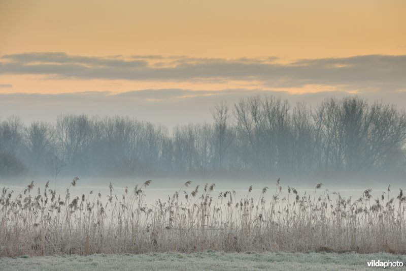 Weijmeerbroek