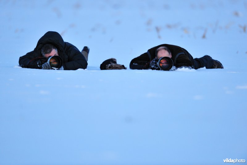 Natuurfotografen in de sneeuw