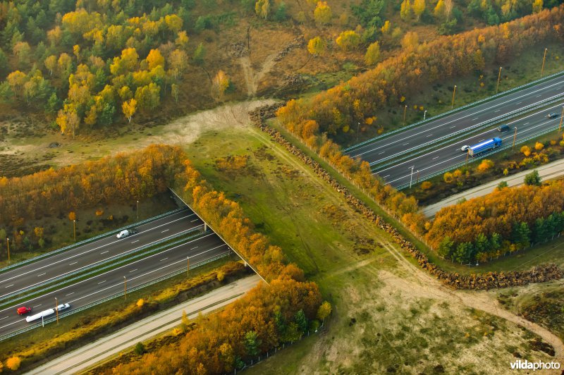 Ecoduct over snelweg