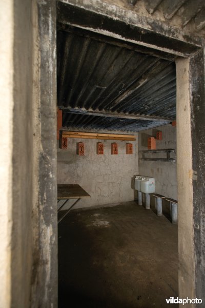 Een voor vleermuizen ingerichte bunker