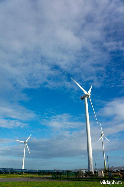 Windmolen