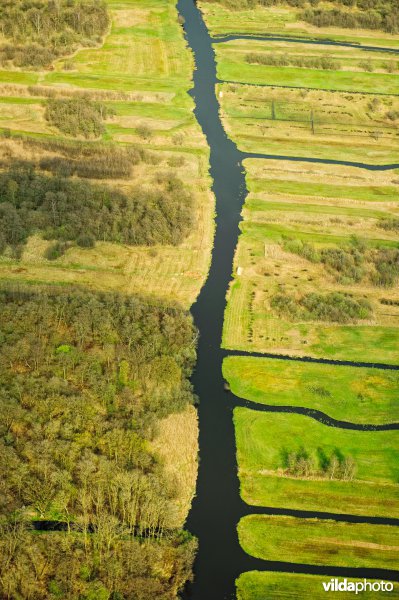 De Wieden