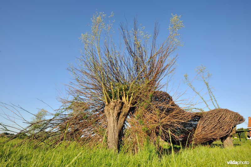 Kalkense Meersen: beeldenstroom reeks 3