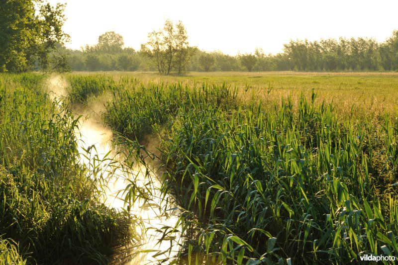 Kalkense Meersen: beeldenstroom reeks 3
