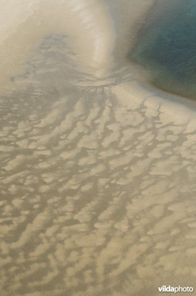 Getijden op het Wad leggen uitgestrekte slikken bloot