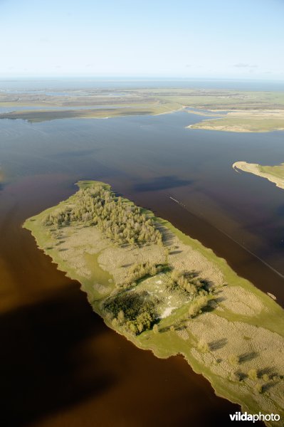 Lauwersmeer