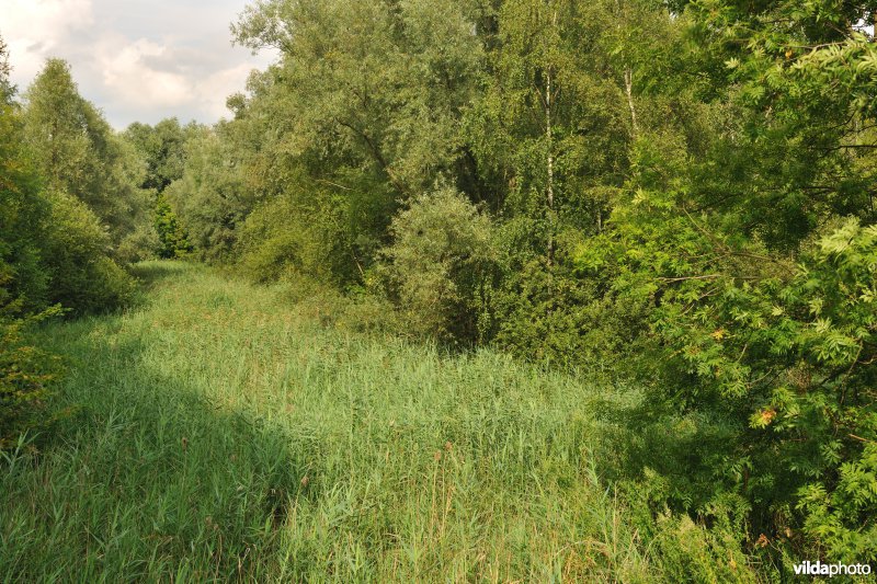 Noordkasteel