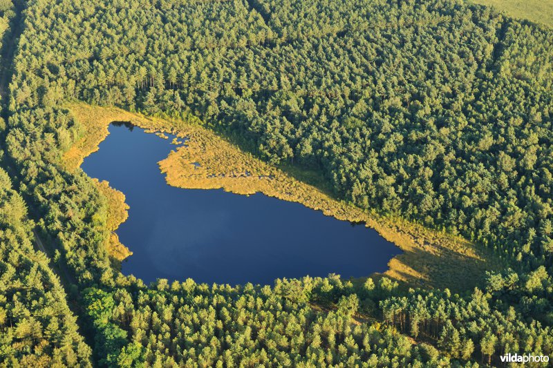 Ruiterskuilen in het Ophovenerbos