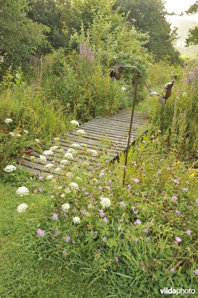 Natuurlijke tuin met vlonder