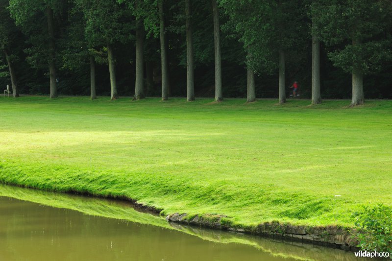 Spiegelvijver in het park van Tervuren