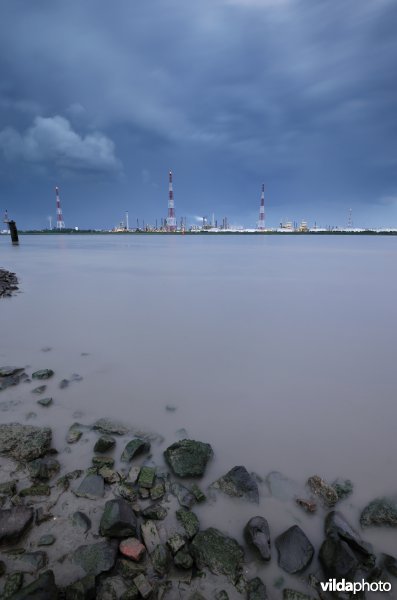 Zeeschelde in de haven van Antwerpen