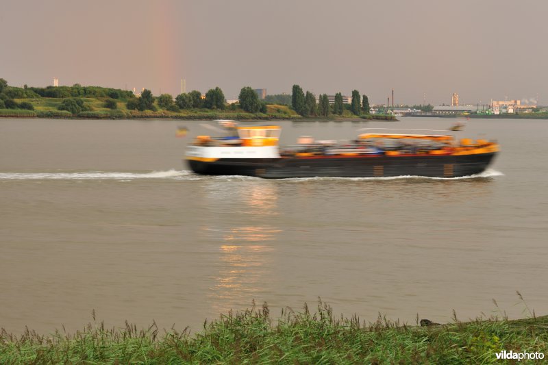 Vrachtboot op de Schelde