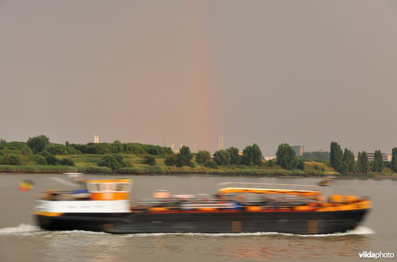 Vrachtboot op de Schelde