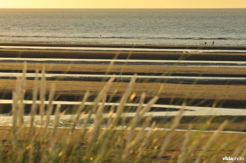 Strand van Sint-Idesbald