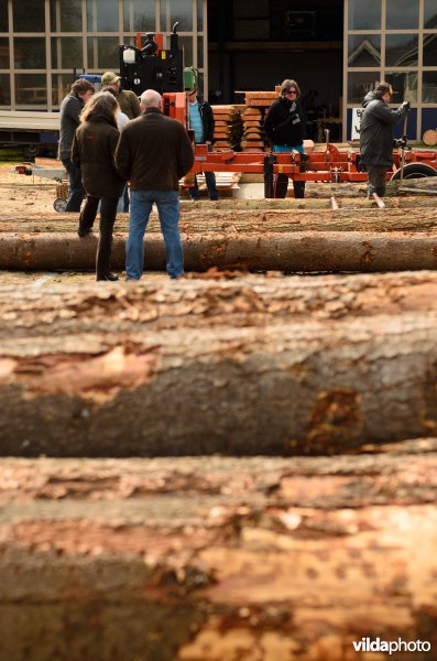 Hout ligt gereed voor zaagmachine