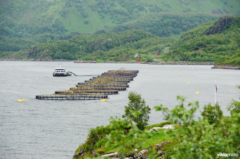 Zalmkwekerij in fjord