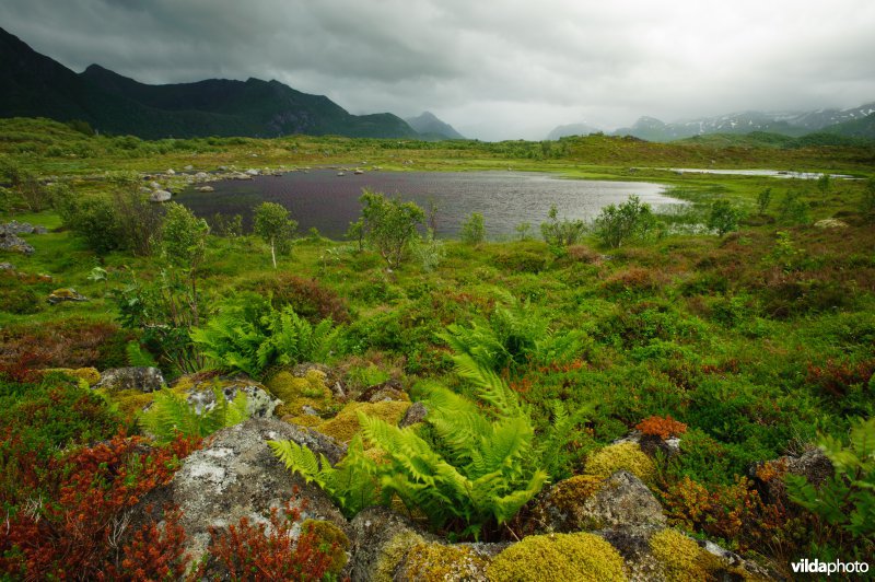 Lofoten, Noorwegen