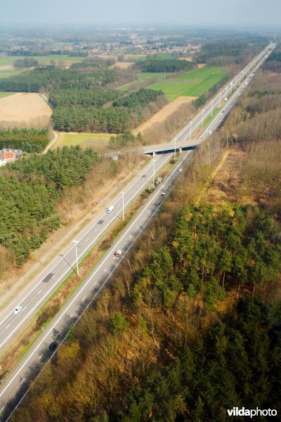 Autosnelweg tussen de bossen