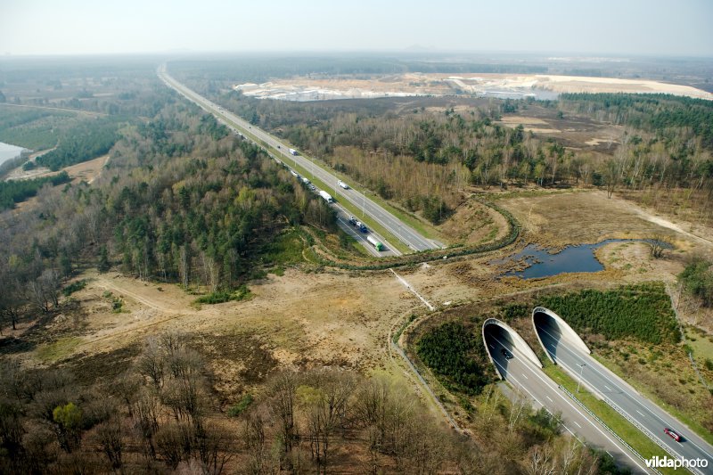 Ecoduct Kikbeek in de Mechelse heide