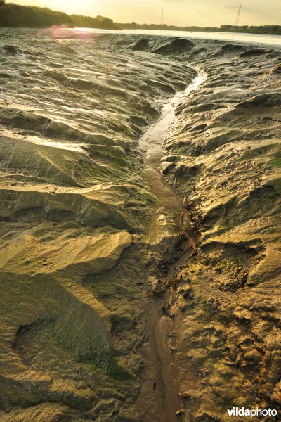 Schorren aan de Notelaer