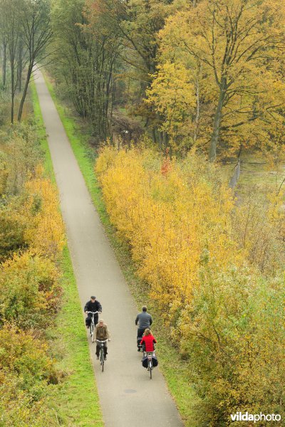 Fietsers op het Bels Lijntje