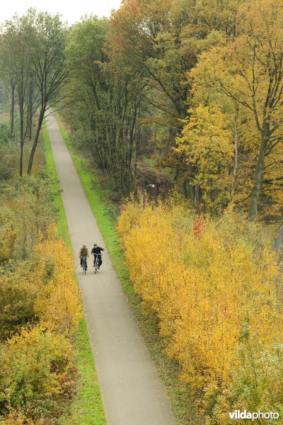 Fietsers op het Bels Lijntje