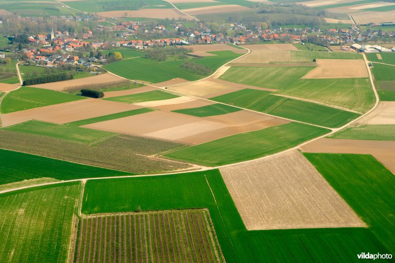 Grootschalige landbouw op het leemplateau