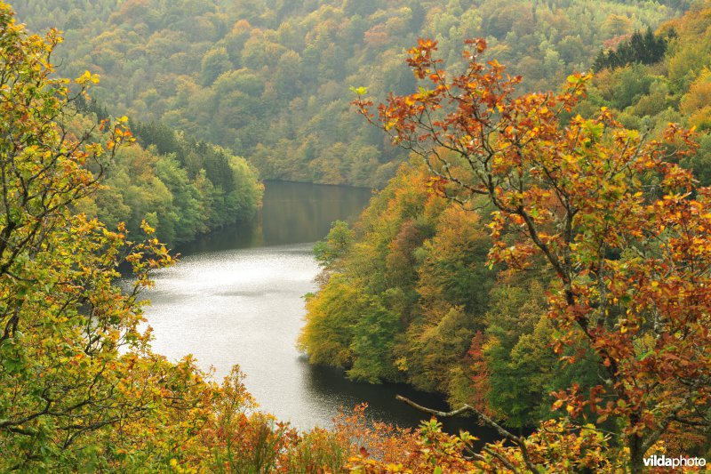 Vallei van de Ourthe